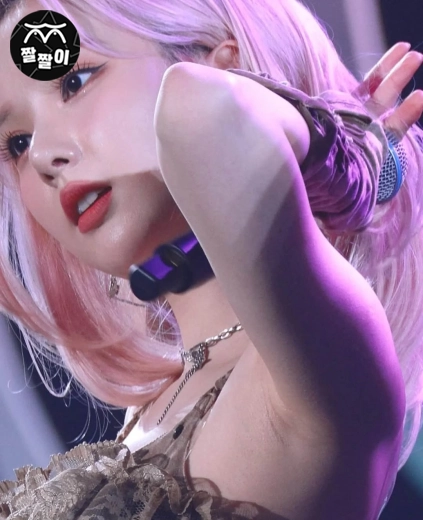 디시 겨갤 출처 비비지 은한 까끌겨