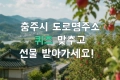2026년 충주시 도로명주소 초성 퀴즈 이벤트