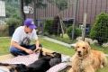 배정남 눈물 마를 새 없네…반려견 사망 10개월만 또 비보 "푹 쉬그레이"