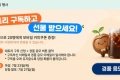 서울데이터허브 뉴스레터 데토리 구독 이벤트