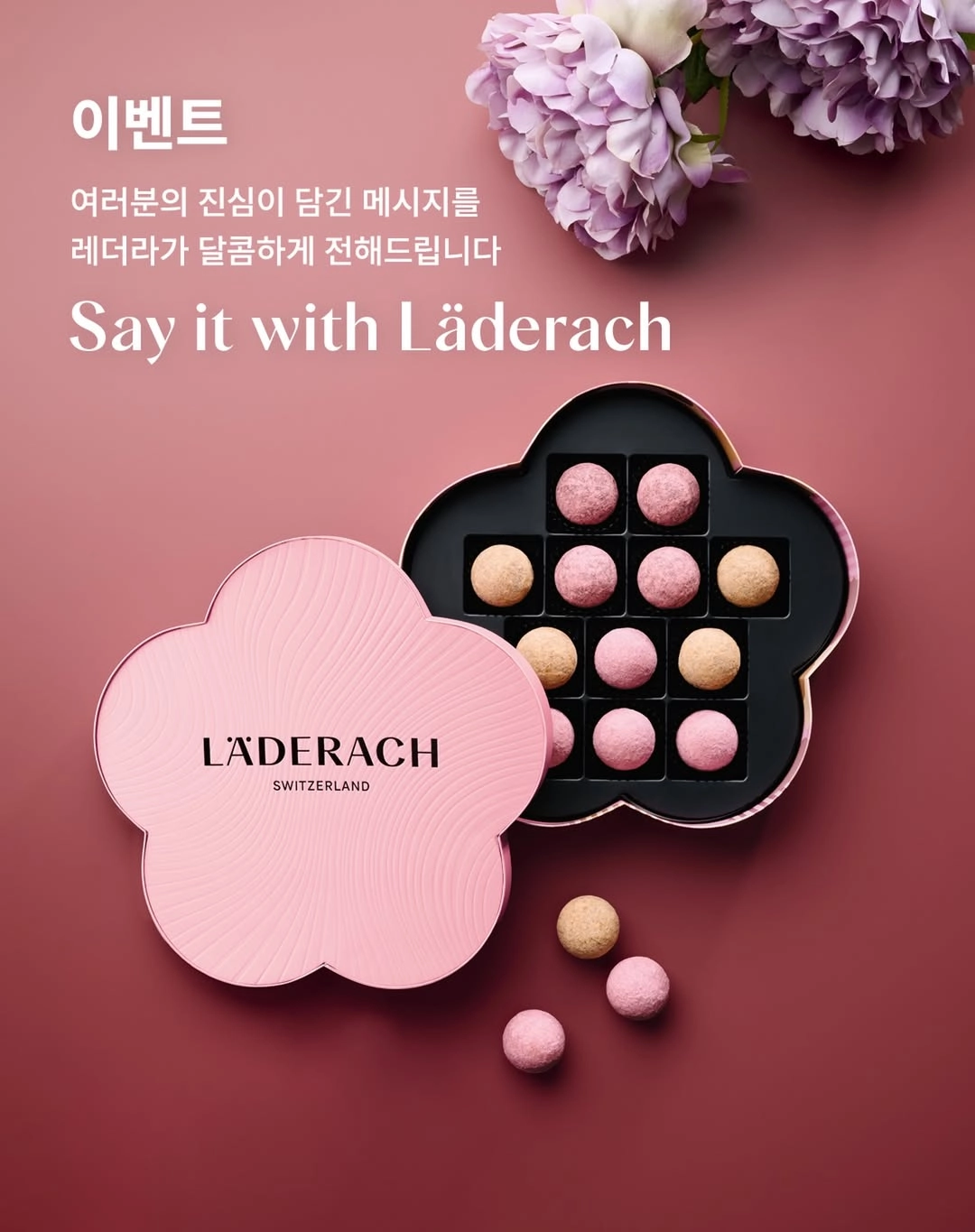 레더라 초콜릿 감성 이벤트