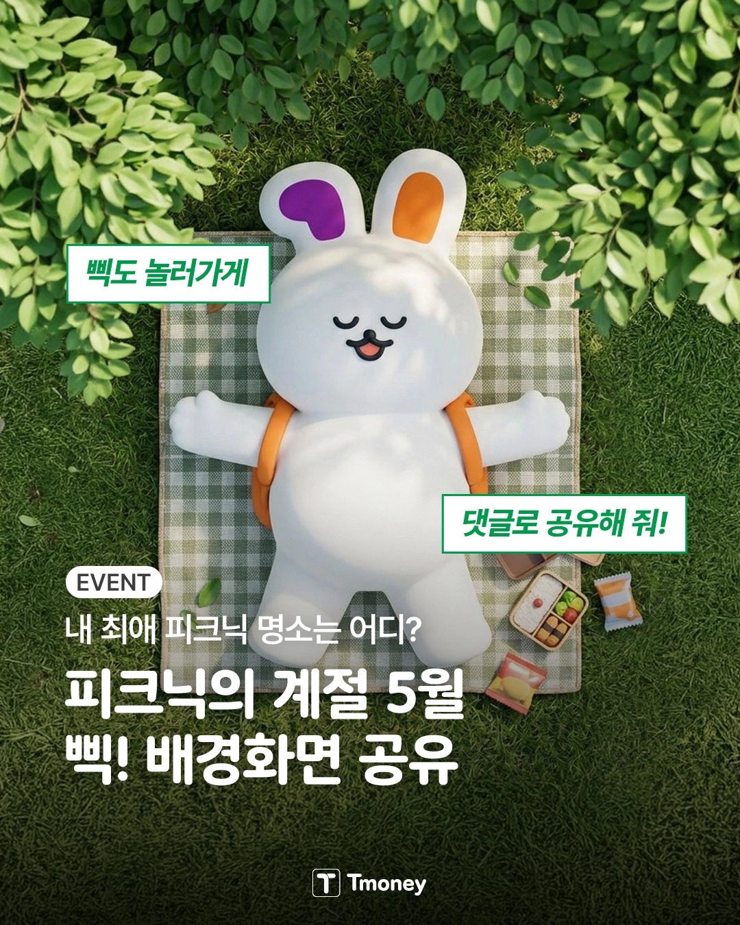 티머니 피크닉 명소 이벤트