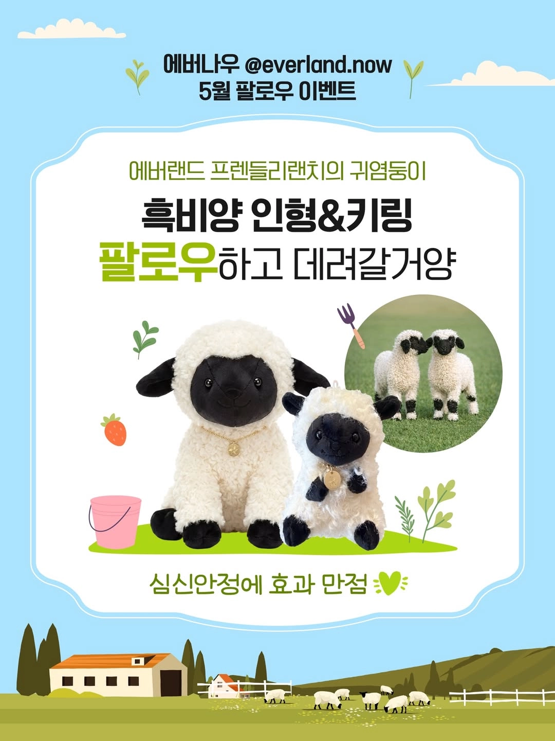 에버나무 5월 팔로우 이벤트