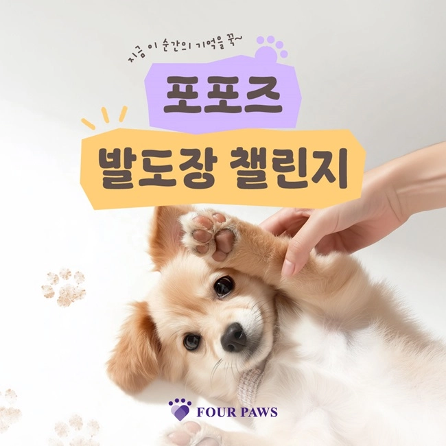 포포즈 발도장 챌린지 이벤트