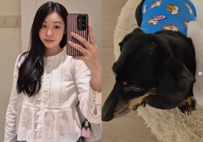 김연아, 발로 강아지 쓰담쓰담..누리꾼 반응 폭발 "연느도 사람이었어"